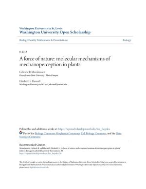Molecular Mechanisms of Mechanoperception in Plants Gabriele B