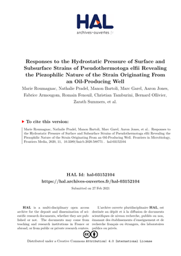 Responses to the Hydrostatic Pressure of Surface