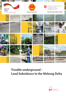 Land Subsidence in the Mekong Delta