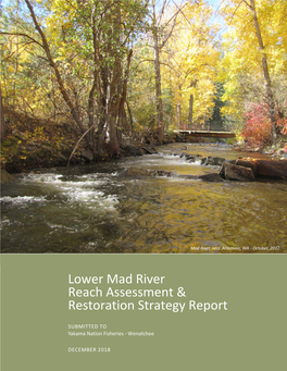 Lower Mad River Reach Assessment & Restoration Strategy Report