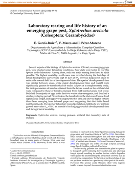 Laboratory Rearing and Life History of an Emerging Grape Pest, Xylotrechus Arvicola (Coleoptera: Cerambycidae)