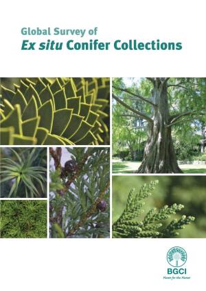 Global Survey of Ex Situ Conifer Collections Global Survey of Ex Situ Conifer Collections
