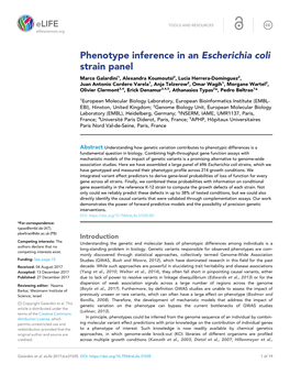 Phenotype Inference in an Escherichia Coli Strain Panel