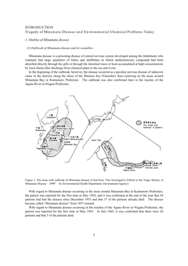 INTRODUCTION Tragedy of Minamata Disease and Environmental Chemical Problems Today