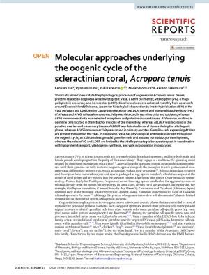 Molecular Approaches Underlying the Oogenic Cycle of the Scleractinian