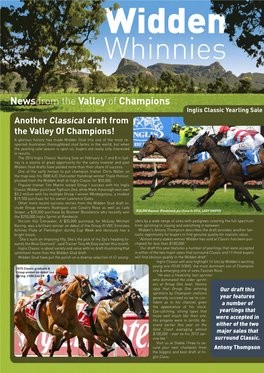News from the Valley of Champions