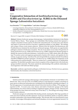 Cooperative Interaction of Janthinobacterium Sp. SLB01 and Flavobacterium Sp
