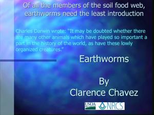 Earthworms by Clarence Chavez