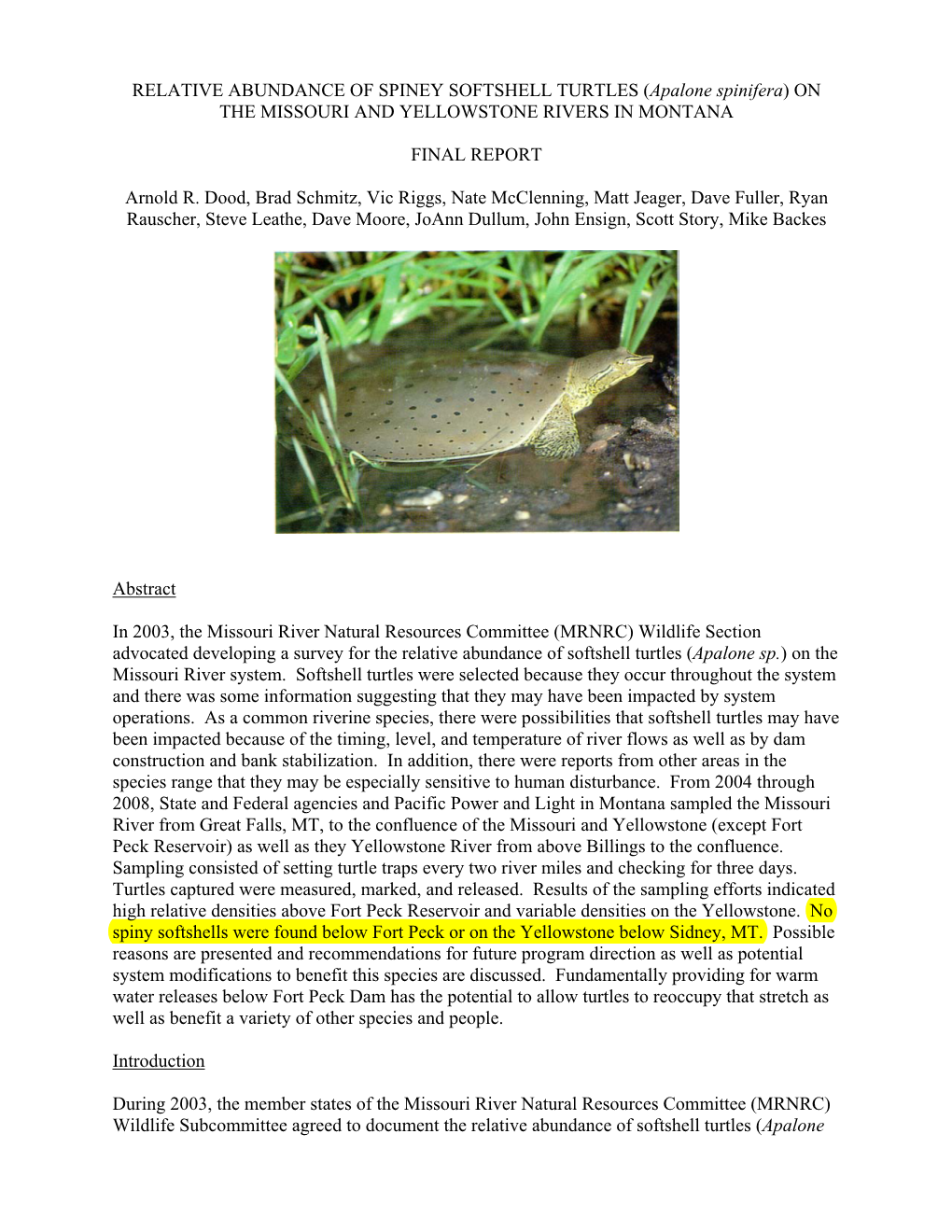 RELATIVE ABUNDANCE of SPINEY SOFTSHELL TURTLES (Apalone Spinifera) on the MISSOURI and YELLOWSTONE RIVERS in MONTANA FINAL REPOR