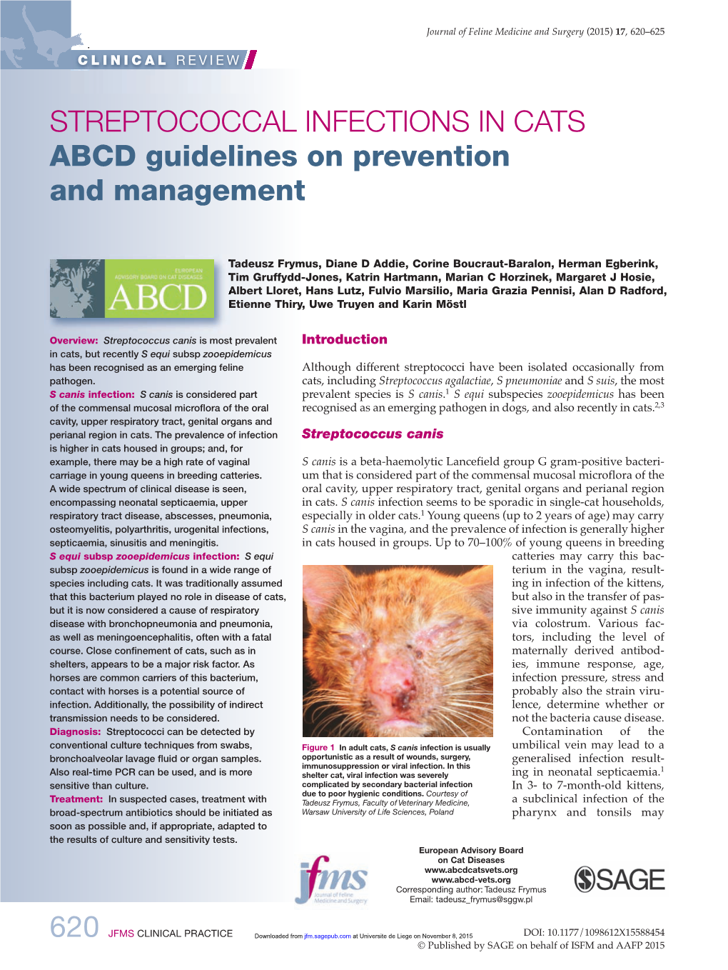 streptococcal-infections-in-cats-abcd-guidelines-on-prevention-and