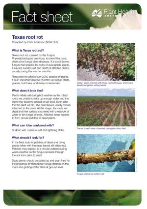 Texas Root Rot Compiled by Chris Anderson (NSW DPI)