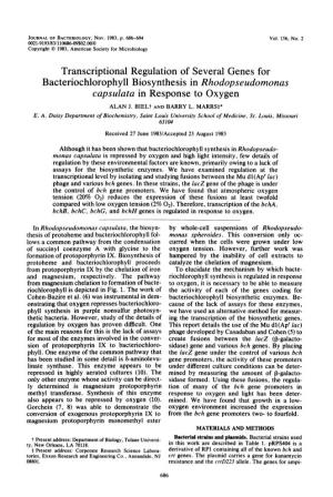 Bacteriochlorophyll Biosynthesis in Rhodopseudomonas Capsulata in Response to Oxygen