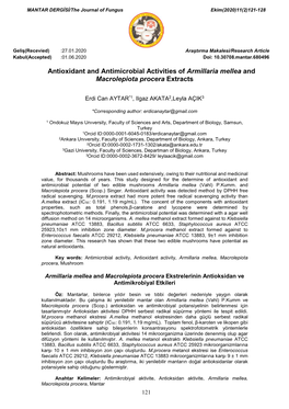 Antioxidant and Antimicrobial Activities of Armillaria Mellea and Macrolepiota Procera Extracts