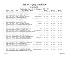 AKC 2016 Agility Invitational