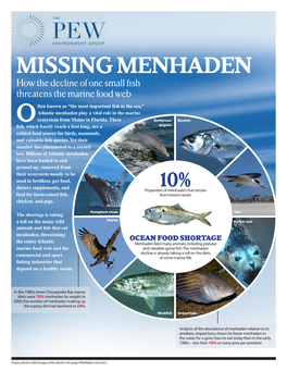 Missing Menhaden