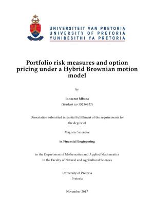Portfolio Risk Measures and Option Pricing Under a Hybrid Brownian Motion Model