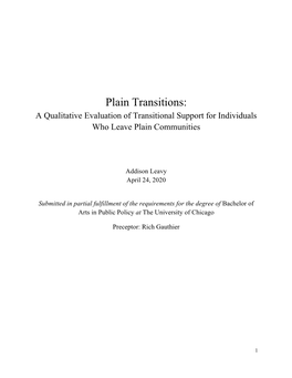 A Qualitative Evaluation of Transitional Support for Individuals Who Leave Plain Communities