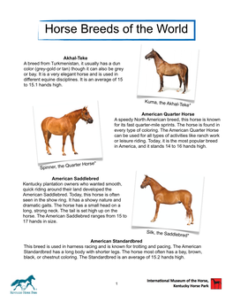 Horse Breeds Vocab