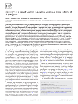 Discovery of a Sexual Cycle in Aspergillus Lentulus, a Close Relative of A