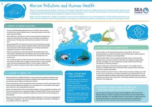 Marine Pollution and Human Health Many of Our Waste Products End up in the Sea