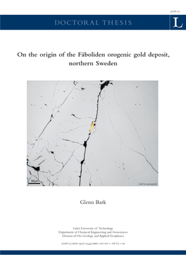 On the Origin of the Fäboliden Orogenic Gold Deposit, Northern