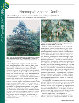 Phomopsis Spruce Decline GROWER SEGMENT