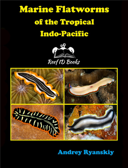 Marine-Flatworms-Of-The-Tropical-Indo-Pacific-Look