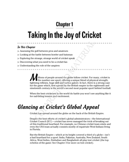 Taking in the Joy of Cricket