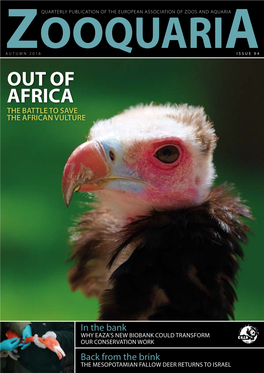 Out of Africa the Battle to Save the African Vulture