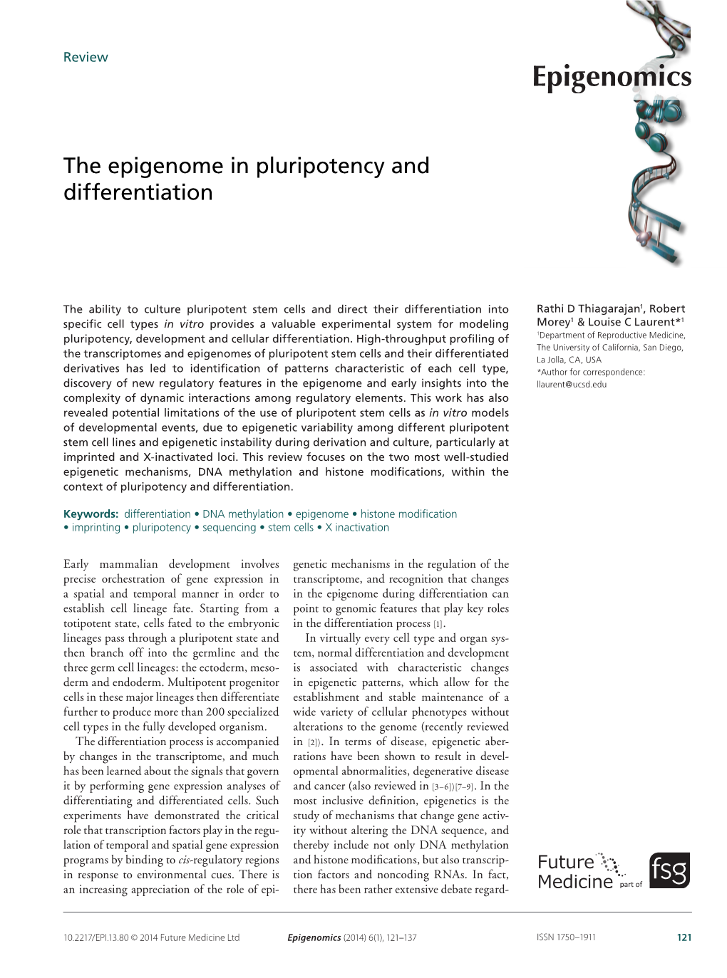 The Epigenome in Pluripotency and Differentiation