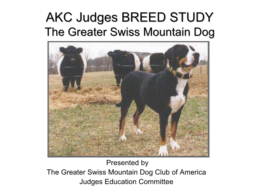 Greater Swissswiss Mountainmountain Dogdog