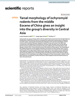Tarsal Morphology of Ischyromyid Rodents from the Middle Eocene Of