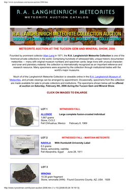 Meteorite Auction at the Tucson Gem and Mineral Show, 2006