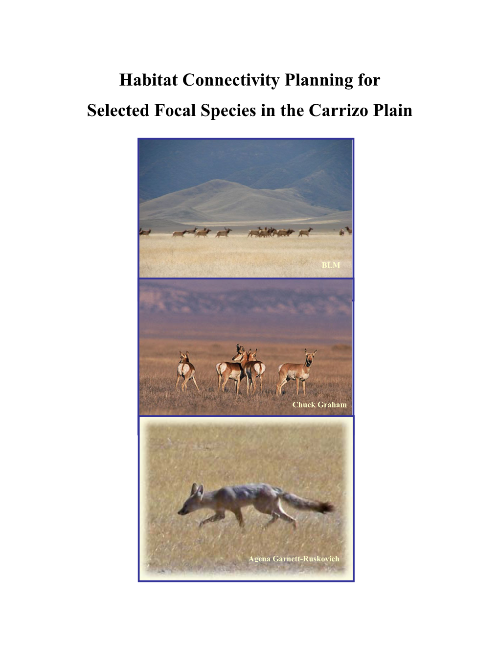 Habitat Connectivity Planning for Selected Focal Species in the Carrizo Plain