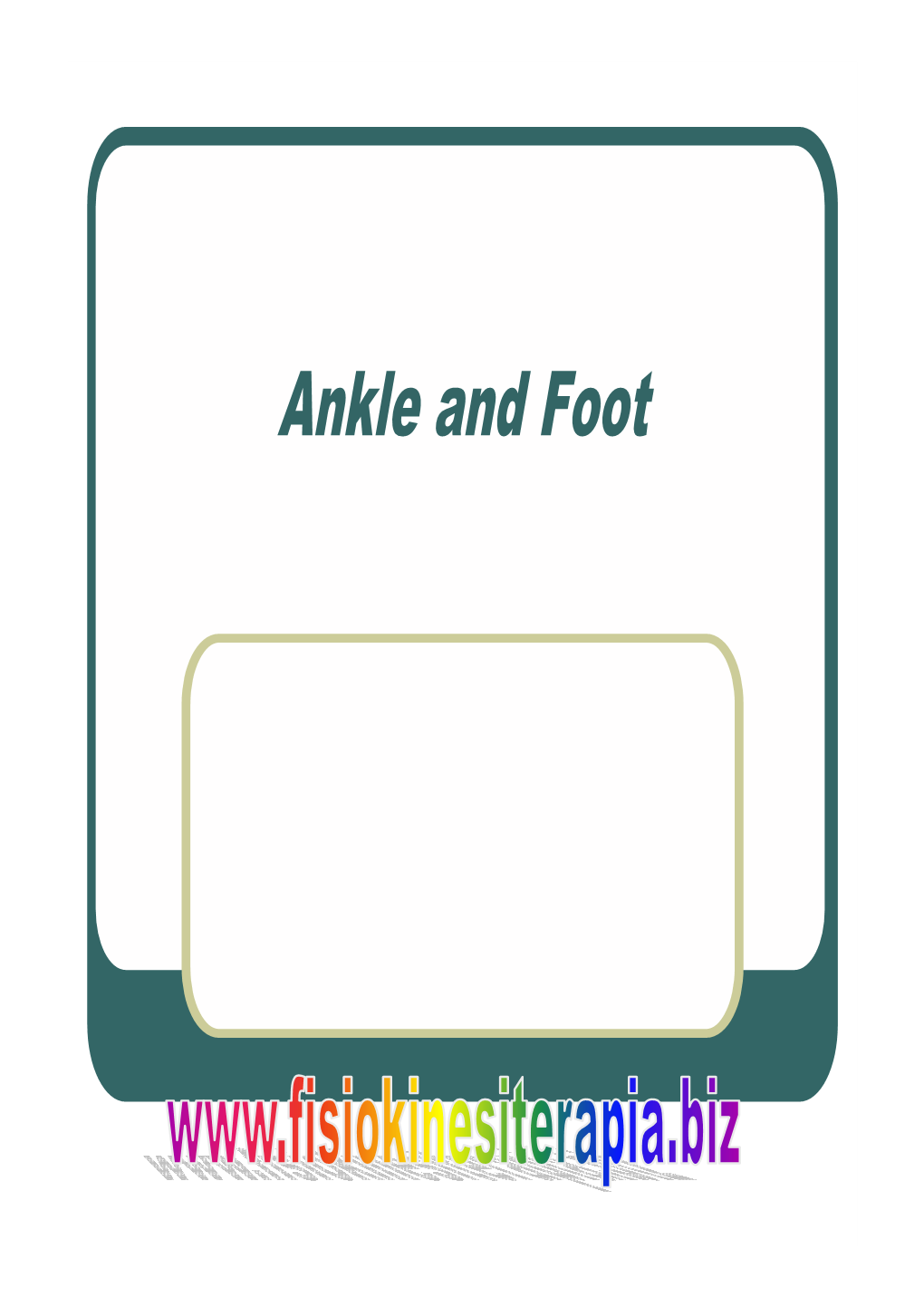 Ankle and Foot