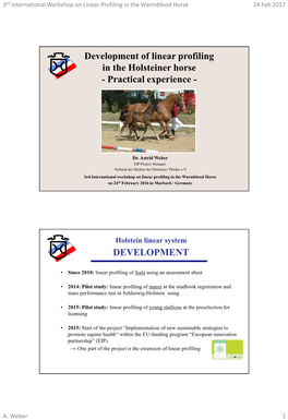 Development of Linear Profiling in the Holsteiner Horse - Practical Experience