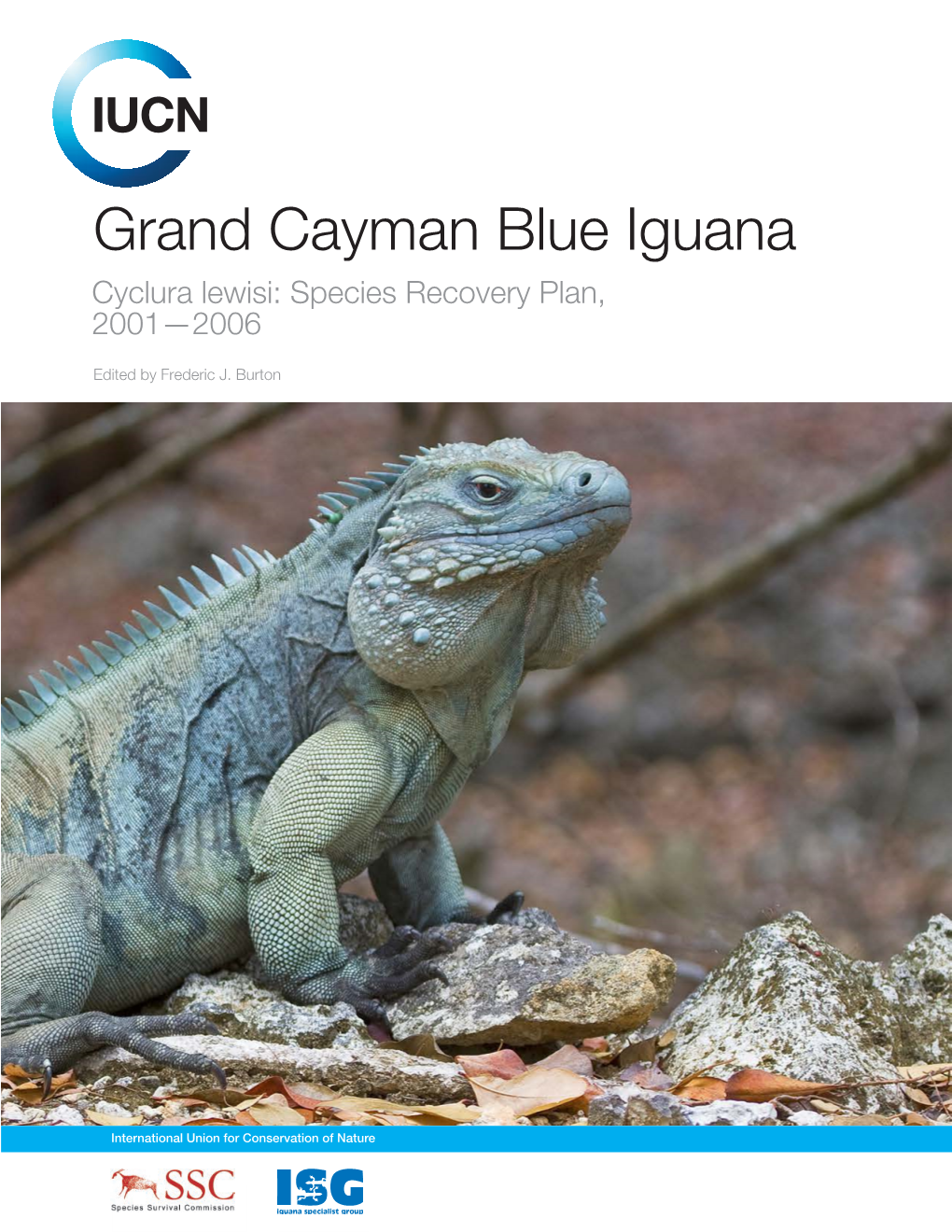 The Grand Cayman Blue Iguana