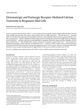 Glutamatergic and Purinergic Receptor-Mediated Calcium Transients in Bergmann Glial Cells