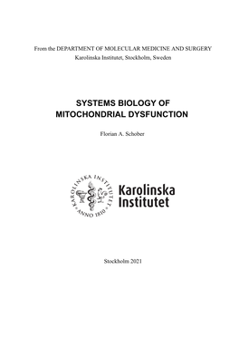 Systems Biology of Mitochondrial Dysfunction