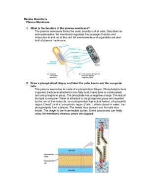 Review Questions Plasma Membrane