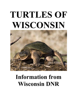 Information from Wisconsin DNR Western Painted Turtle (Chrysemys Picta Bellii)