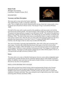 Stone Crab Menippe Mercenaria Contributor: Elizabeth Wenner, Ph.D