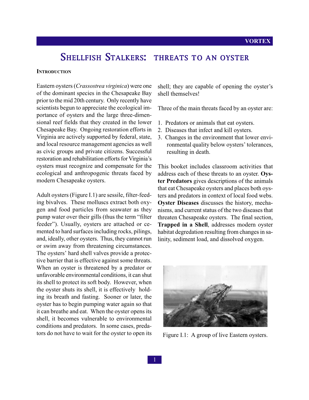 Shellfish Stalkers: Threats to an Oyster