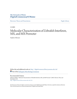 Molecular Characterization of Zebrafish Interferon, MX, and MX Promoter Stephen Altmann
