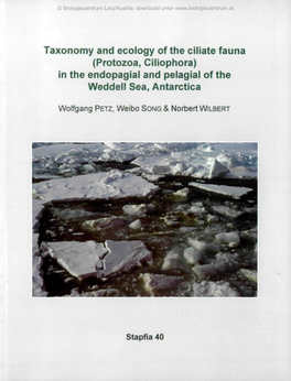 Taxonomy and Ecology of the Ciliate Fauna (Protozoa, Ciliophora) in the Endopagial and Pelagial of the Weddell Sea, Antarctica