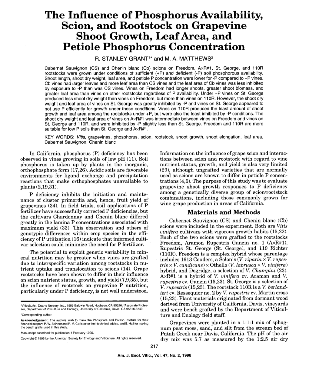 The Influence of Phosphorus Availability, Scion, and Rootstock on Grapevine Shoot Growth, Leaf Area, and Petiole Phosphorus Concentration R