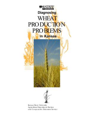 S84 Diagnosing Wheat Production Problems in Kansas