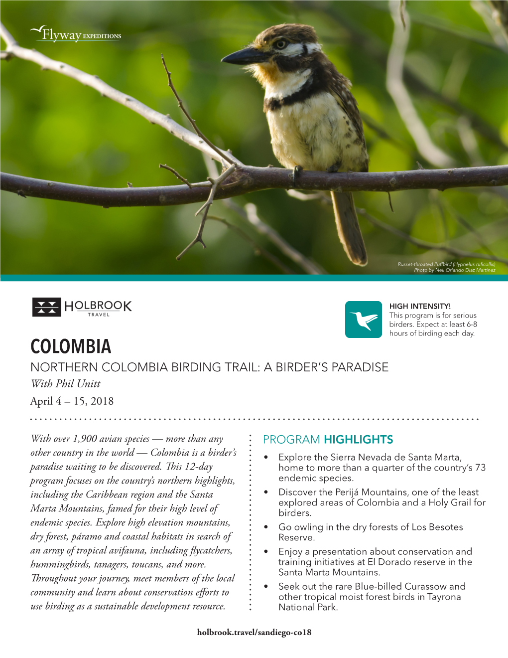 COLOMBIA NORTHERN COLOMBIA BIRDING TRAIL: a BIRDER’S PARADISE with Phil Unitt April 4 – 15, 2018