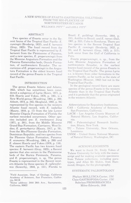 A New Species of Enaeta (Gastropoda:Volutidae) from the Mio-Pliocene of Northwestern Ecuador William D