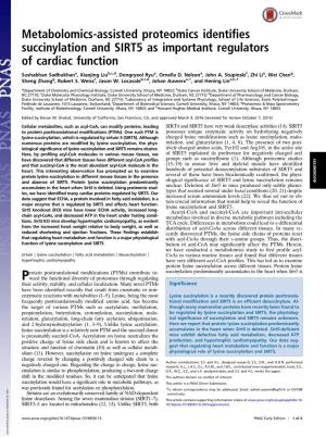 Metabolomics-Assisted Proteomics Identifies Succinylation and SIRT5 As Important Regulators of Cardiac Function